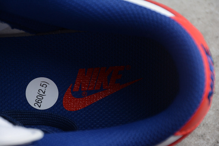 nike dunk low usa (w) dd1503-119