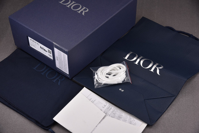 D1OR SNEAKERS B25 T0000-229