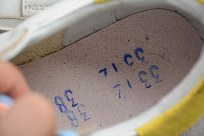 golden goose gg000002