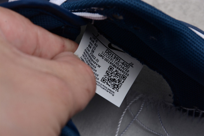 nike dunk low valerian blue dd1391-400